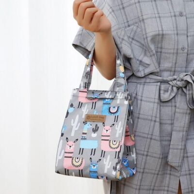 Lunch bag pique-nique